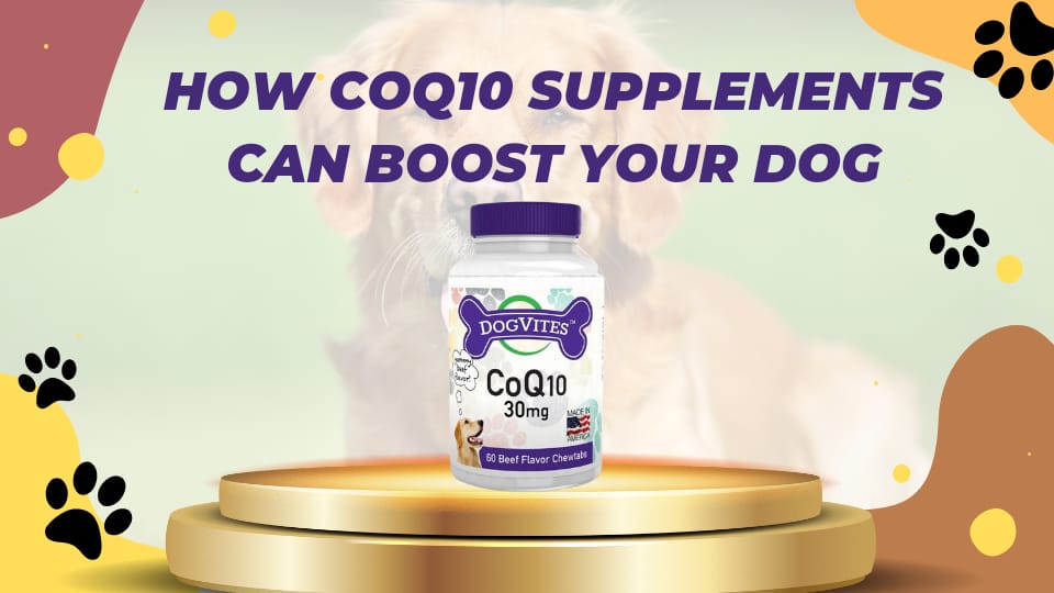 Give Your Dog a Boost with CoQ10 Supplements HerbsPro