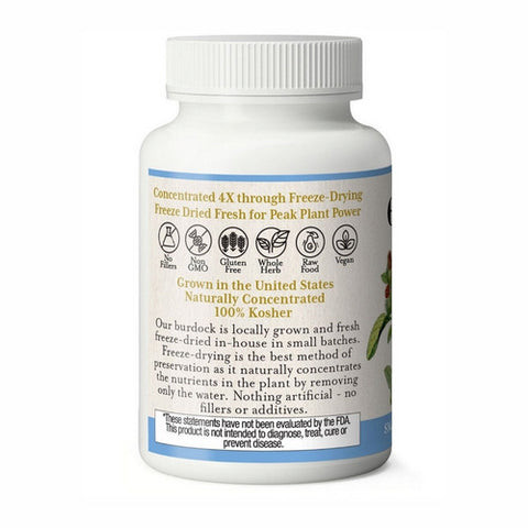 Eclectic Herb, Burdock, 90 Caps