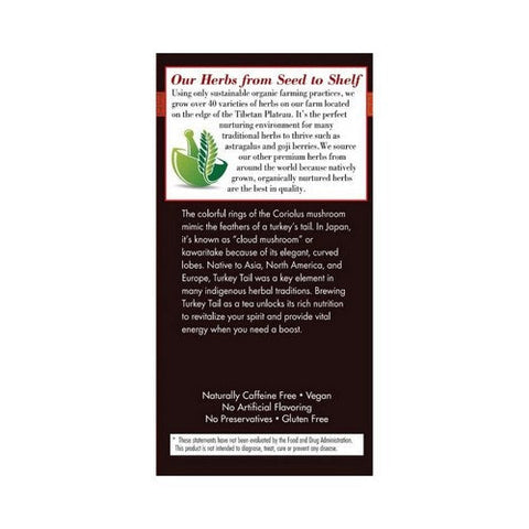 Bravo Tea & Herbs, Turkey Tail Mushroom Herbal Tea, 20 Bags Bravo Tea & Herbs
