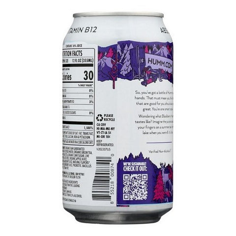 Humm Kombucha, Blackberry Probiotic Kombucha, 12 Oz (Case Of 6)
