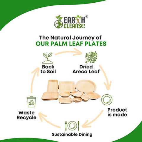 Earth Cleanse, Areca Palm Leaf Square Partition Plates 11-Inch, Pack of 25 Earth Cleanse