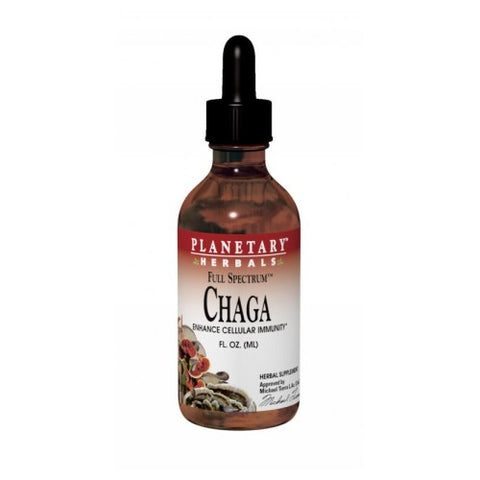 Planetary Herbals, Full Spectrum Chaga, 1000 mg, 120 Tabs