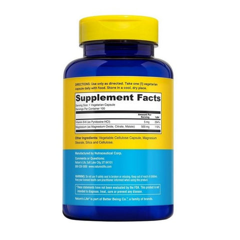Nature's Life, Magnesium, 500 mg, 100 caps
